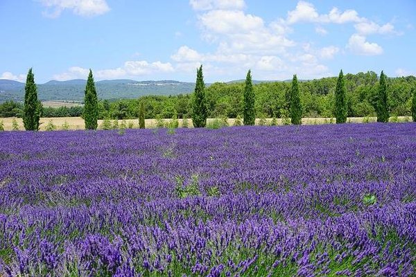 S'évader dans les meilleurs campings de Provence