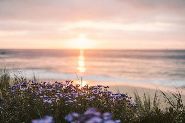 Les Meilleurs Emplacements pour Camper en Tente en Vendée : Guide Complet
