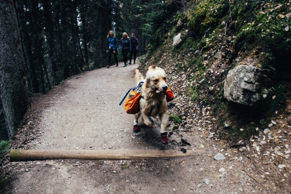 Explorer Apremont et profiter de la beauté du Camping Le Val de Vie