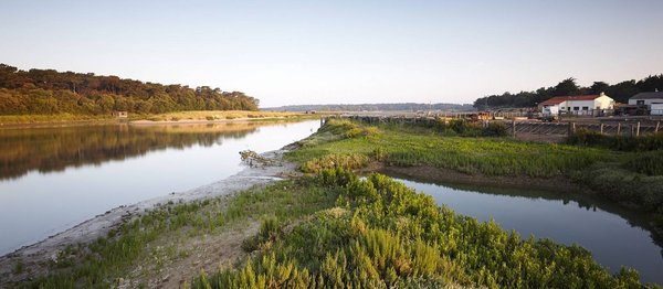 Les meilleurs campings de Talmont Saint Hilaire : Découvrez le Camping le Paradis Seagreen