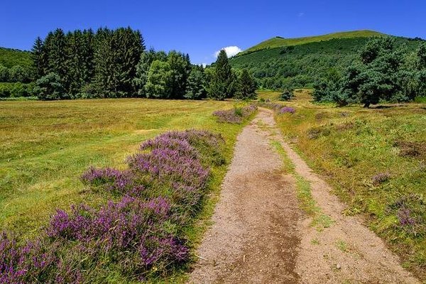Les meilleurs campings en pleine nature en Auvergne-Rhône-Alpes